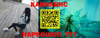 мдпв Бердск