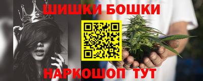 мдпв Бердск
