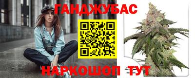 мдпв Бердск