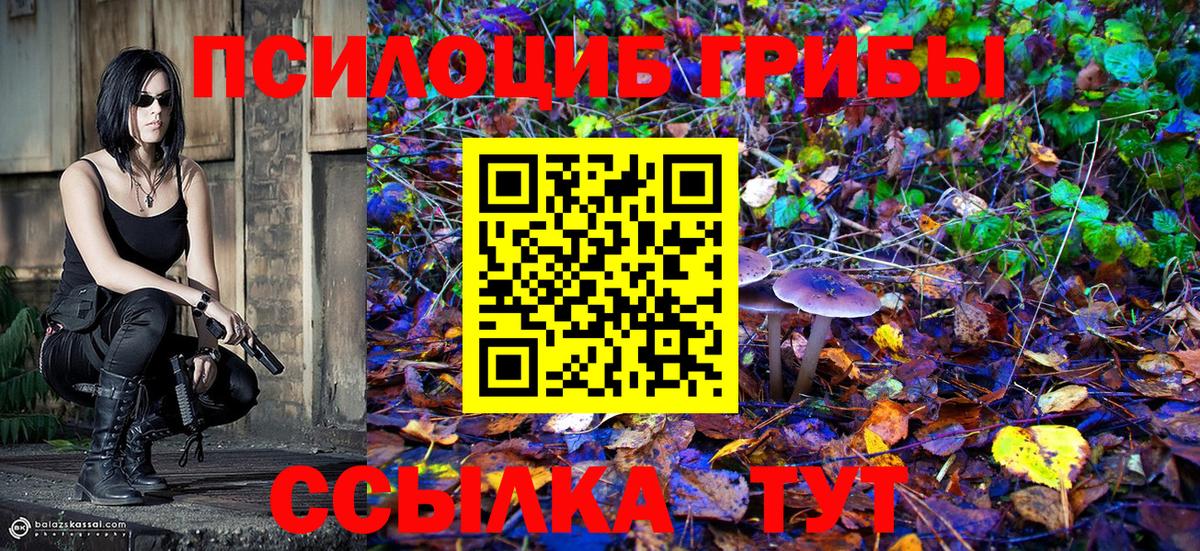 Галлюциногенные грибы ЛСД  где купить наркоту  Боровичи  Вход с VPN 