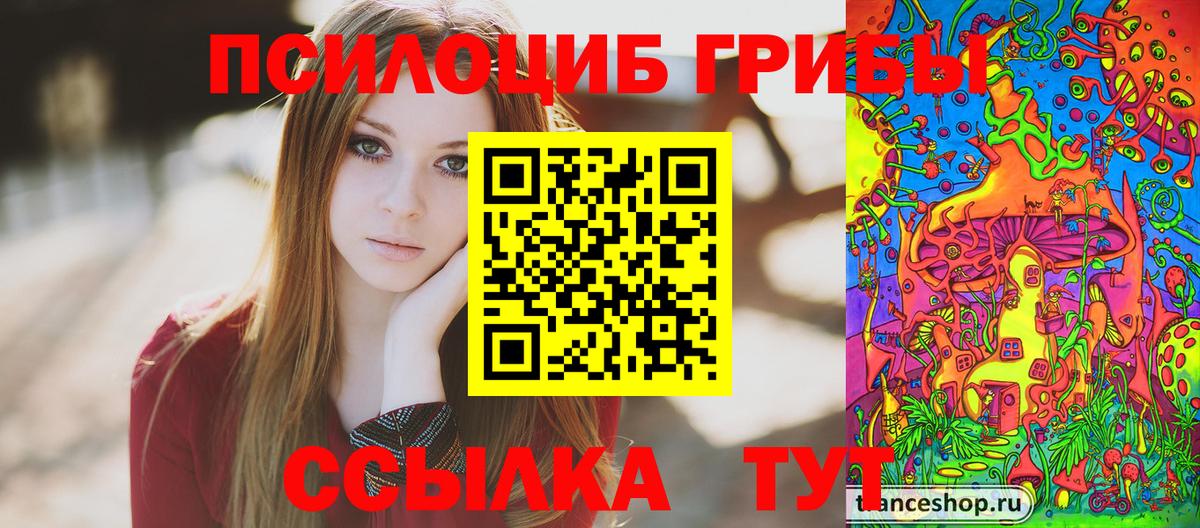 Галлюциногенные грибы Psilocybine cubensis Боровичи